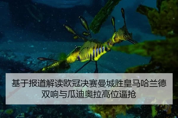 基于报道解读欧冠决赛曼城胜皇马哈兰德双响与瓜迪奥拉高位逼抢